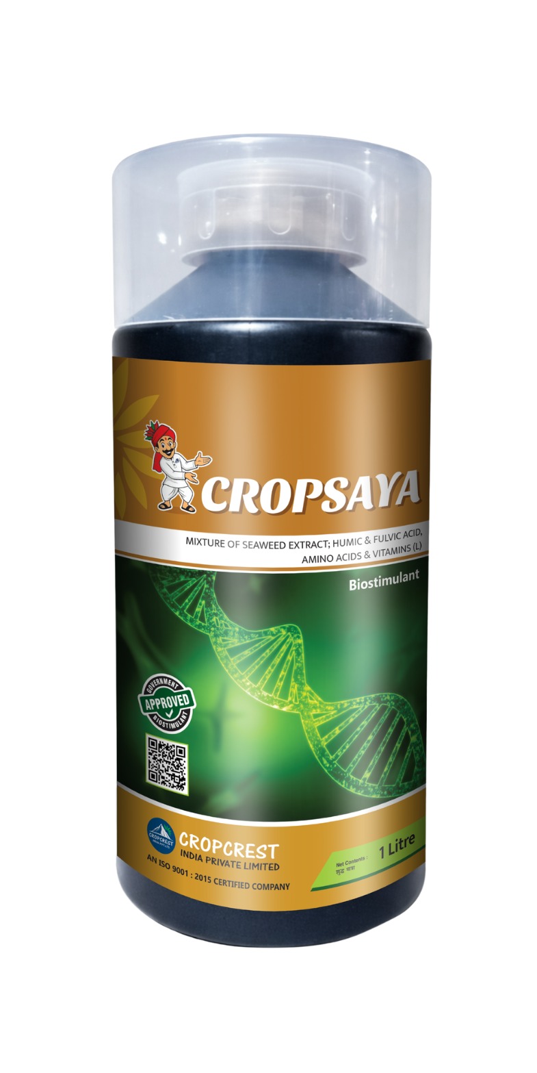 CROPSAYA
