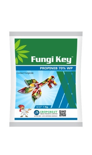 Fungi Key